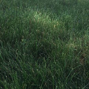 Meet your Posher, Caden